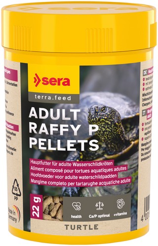 Sera turtle adult - turtle,