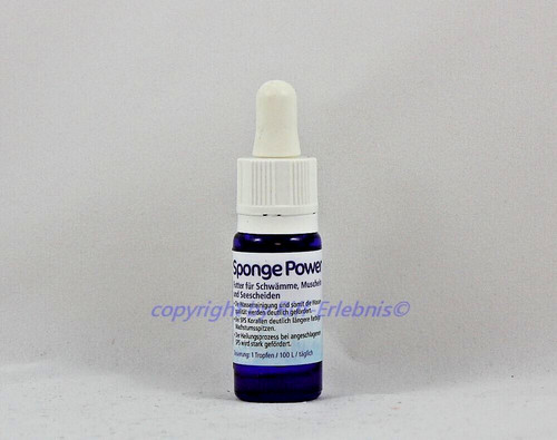 Sponge power corallicoltura - power,