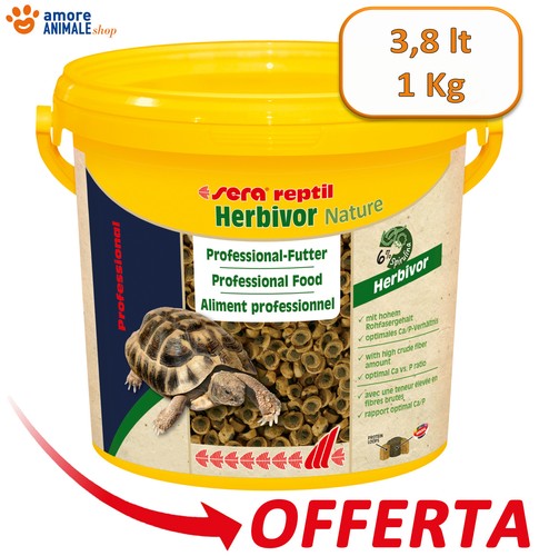 Sera reptil herbivor nature - reptil,