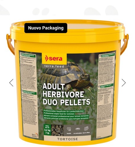 Sera reptil herbivor nature - reptil, 10